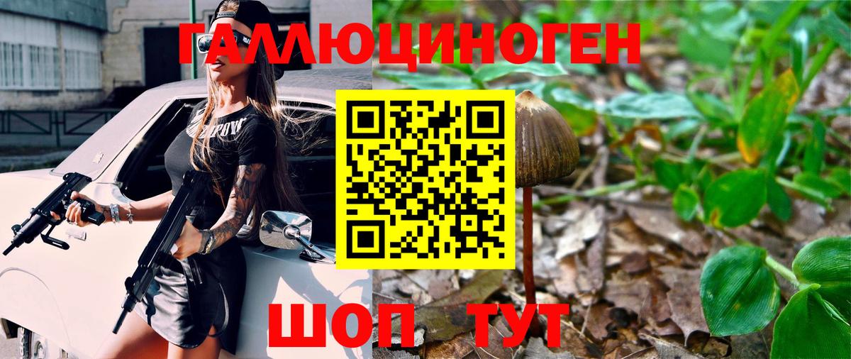 Псилоцибиновые грибы мухоморы Ессентуки