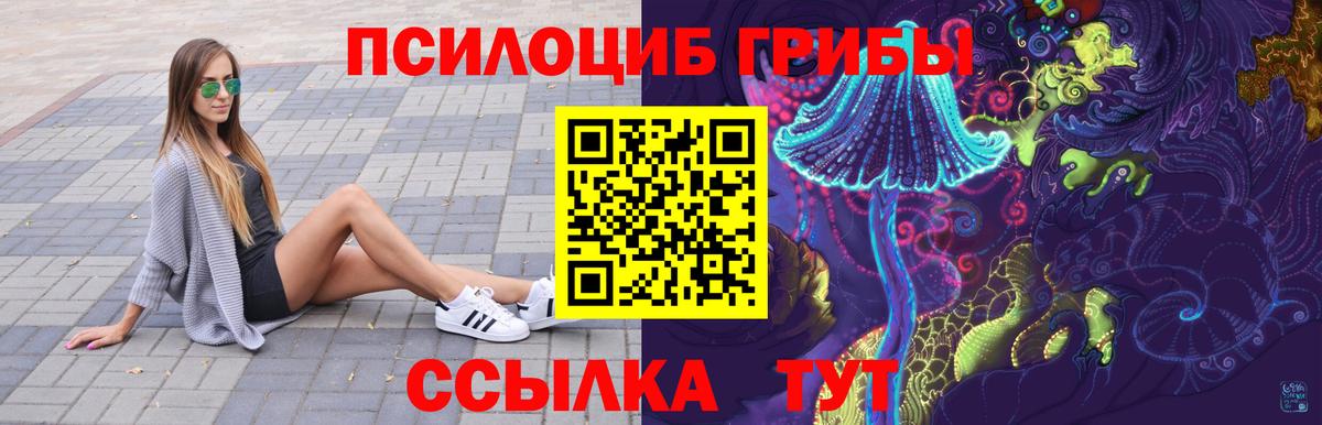 Галлюциногенные грибы Cubensis Ессентуки